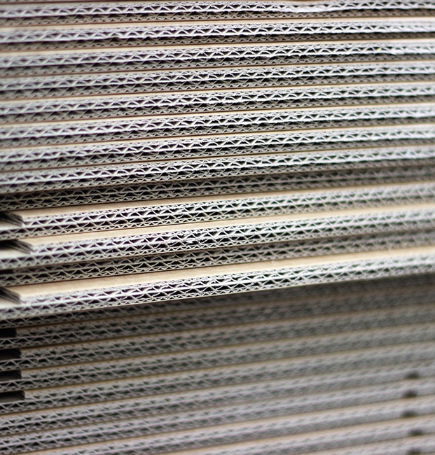 image 2025 12 11T083731.360